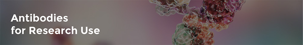 Antibodies